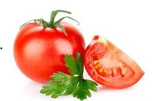 穿书去娱乐圈吃瓜番茄,番茄在娱乐圈的瓜田漫步